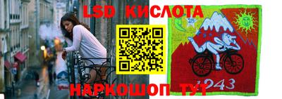 молекула духа Гагарин