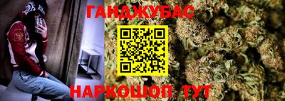 прущий лед Гай