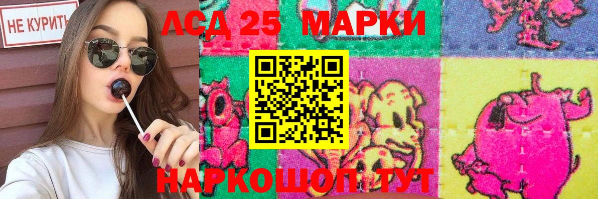 МЕГА как войти  Лсд 25 экстази кислота  LSD-25 экстази кислота  Вход с VPN  Мурманск 