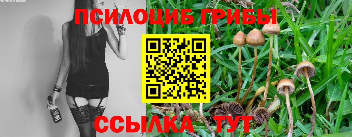 Галлюциногенные грибы GOLDEN TEACHER Мурманск