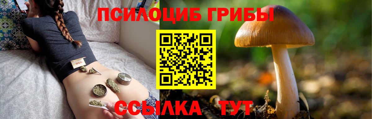 Мурманск  цена   Галлюциногенные грибы ЛСД  Вход с VPN  Галлюциногенные грибы Cubensis 